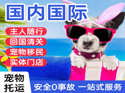宝安航空快运国际宠物托运 【国